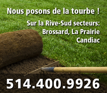 Nouvelle pelouse, installation de gazon en plaque ou en rouleau Nouvelle pelouse, installation de gazon en plaque ou en rouleau